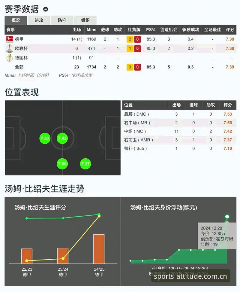 从“看比分”到“读数据”：爱游戏体育官方中国官网的深度使用指南